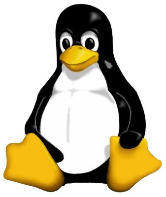 A Linux Distro That Doesn’t Force Updates Like Windows